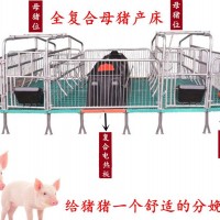 母猪产床双体产床小猪塑料保温箱誉嘉畜牧设备厂