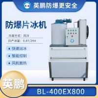 北京医药实验室防爆片冰机BL-400EX800